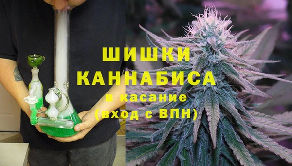 apvp Аркадак