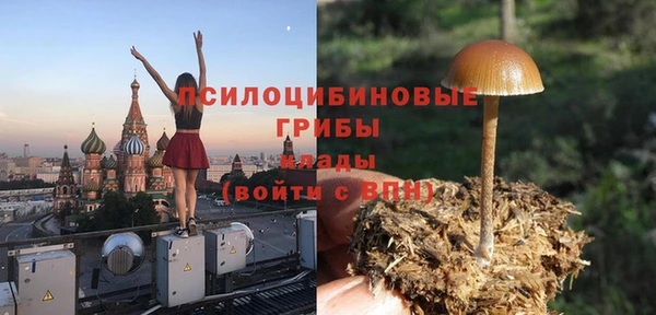 apvp Аркадак