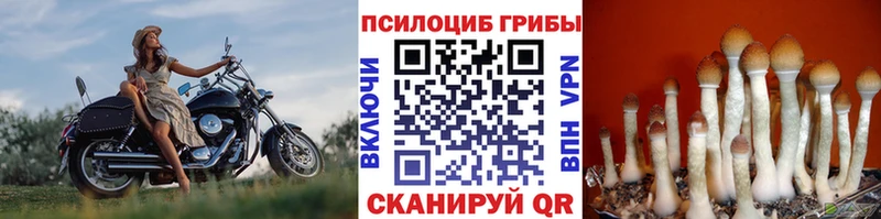 Галлюциногенные грибы GOLDEN TEACHER  мега вход  Кропоткин 