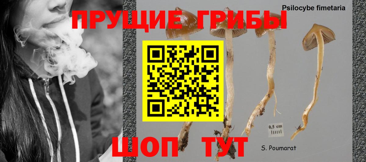 Псилоцибиновые грибы мухоморы  Вход с VPN  наркошоп  Кропоткин 